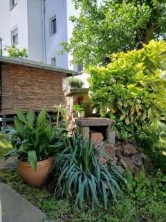 Apartman SWEET Zrenjanin