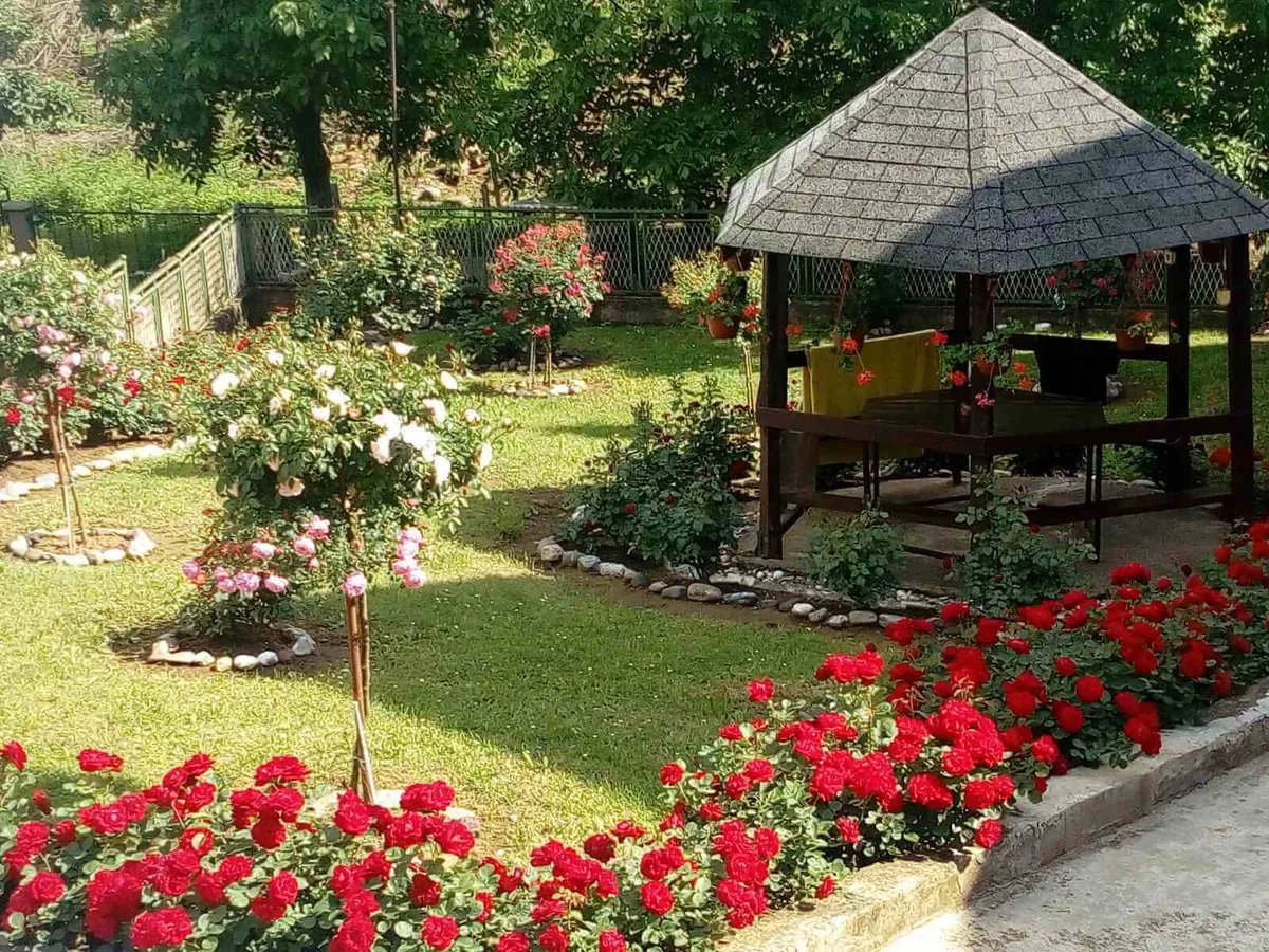 Vila Kole - Sneža Perović