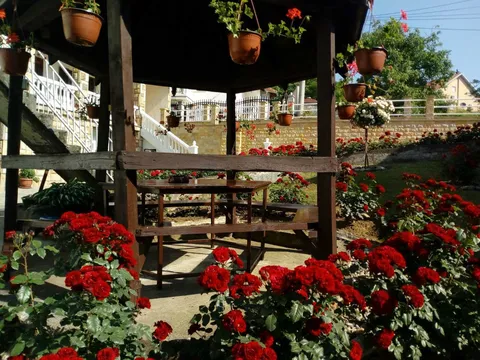 Vila Kole - Sneža Perović