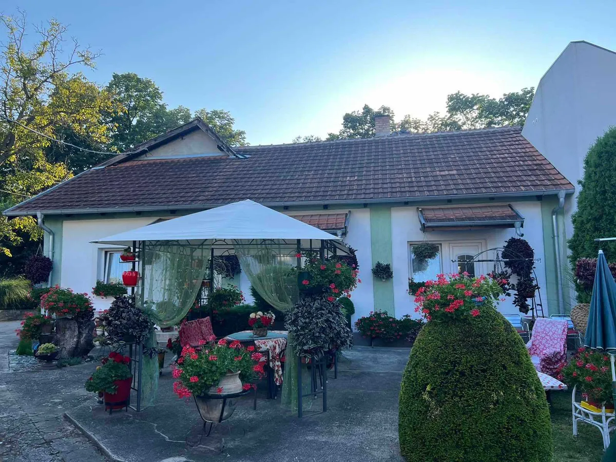 Rascvetano dvorištance