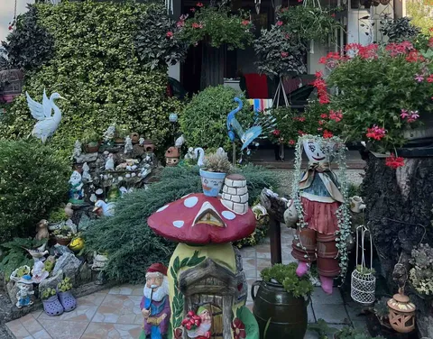 Rascvetano dvorištance