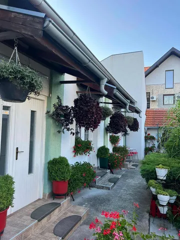 Rascvetano dvorištance