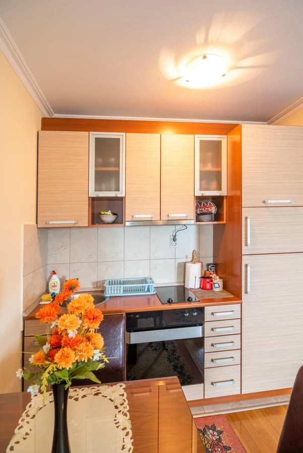 Apartman Zoki