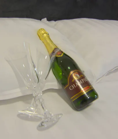 Apartman KALINA Vrnjačka Banja