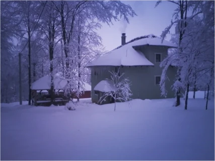 Apartmani Đurovski