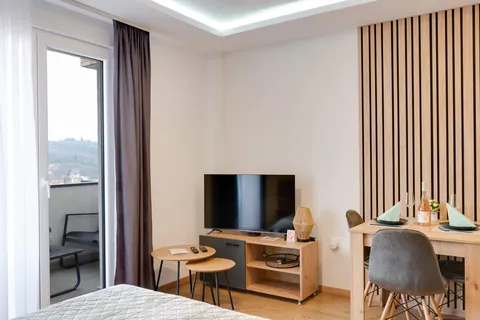 Panorama Studio 17