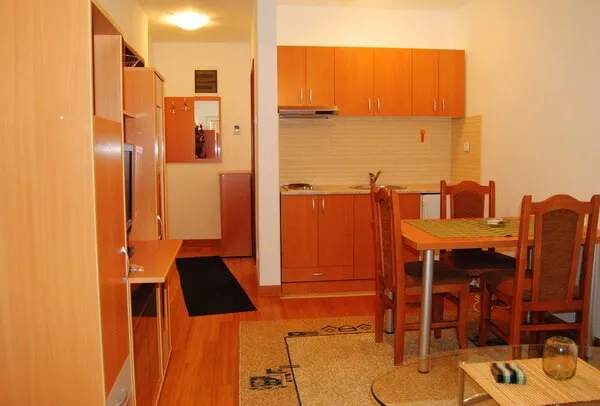 Apartman Snežnik