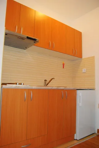 Apartman Snežnik