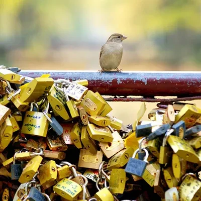 Most ljubavi u Vrnjačkoj Banji