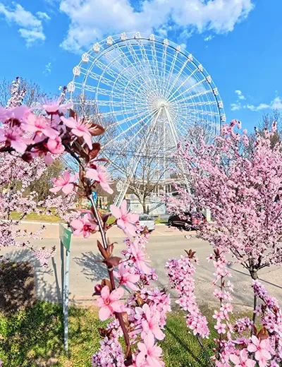 Panoramski točak u Vrnjačkoj Banji