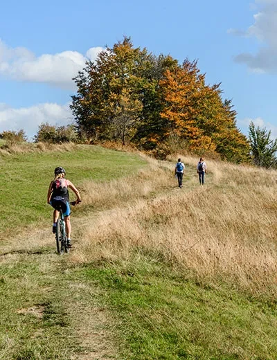 Planina Goč nadomak Vrnjačke Banje