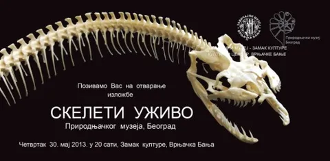 SKELETI UŽIVO u Zamku kulture (2013)