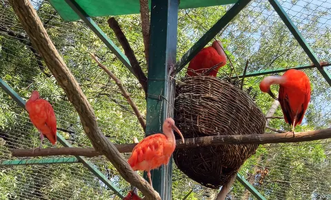 ZOO vrt Vrnjci - Životinjsko carstvo nadomak Vrnjačke Banje