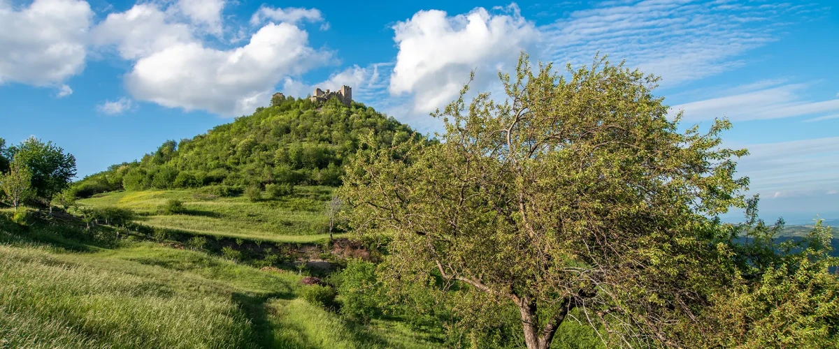 Pogled na srednjovekovni grad Koznik