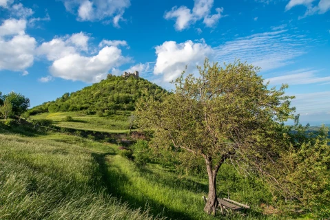 Koznik - srednjovekovna tvrđava nadomak Vrnjačke Banje