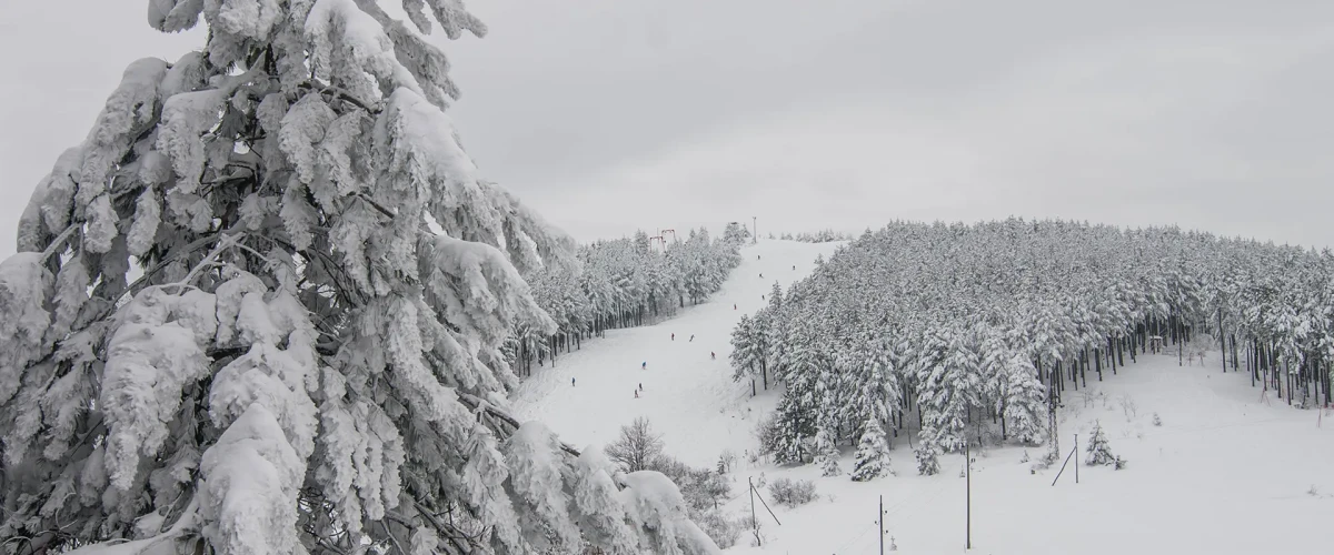 Ski staza na planini Goč