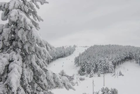 Ski staza na Goču